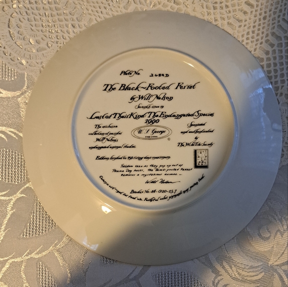 Decorator Plate - Picture 2 of 3